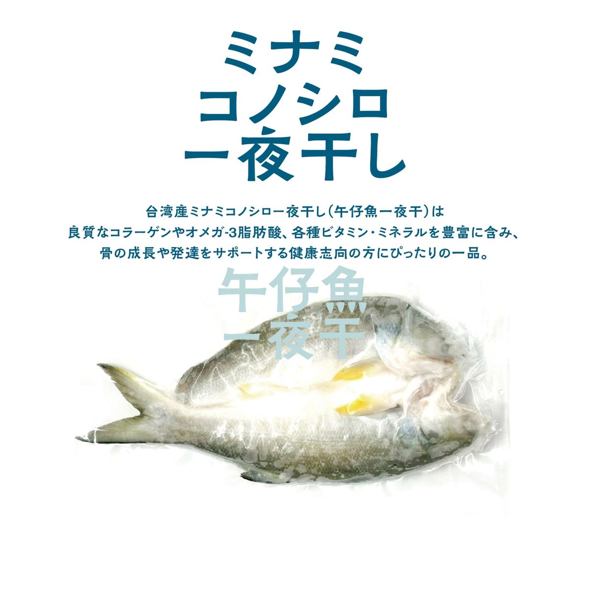 台湾産】冷凍ミナミコノシロ一夜干し（午仔魚一夜干）175g 清菊水産