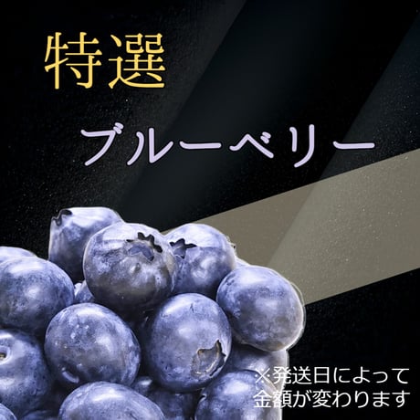 ブルーベリー特選200g　4月発送分