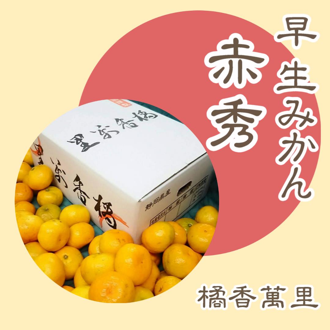 極早生・早生・中生みかん赤秀 橘香萬里 | 昇果園