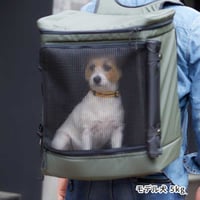 LIFELIKE（ライフライク）2WAYボックスキャリー