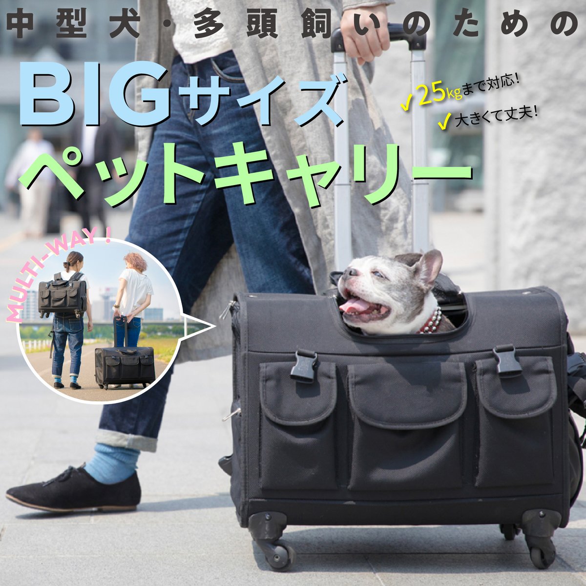 未使用品　TAKE ME ペットキャリー　Lサイズ　カーキ　リュック 楽天市場】 ペットグッズ > キャリーバッグ > リュックキャリー