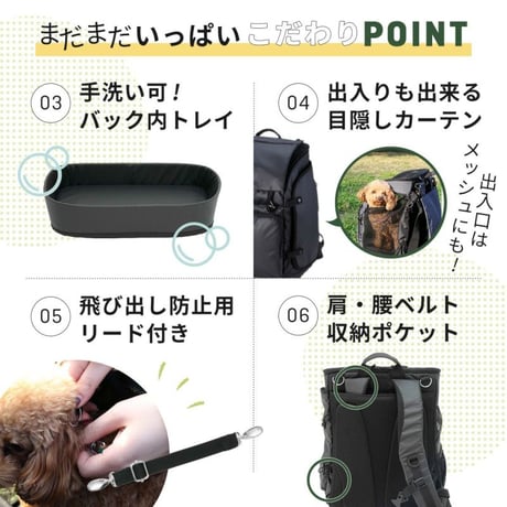 AIR BUGGY（エアバギー）・３ＷＡＹバックパックキャリーレギュラーサイズ　3WAY BACKPACK CARRIER