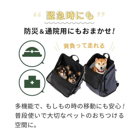 AIR BUGGY（エアバギー）・３ＷＡＹバックパックキャリーレギュラーサイズ　3WAY BACKPACK CARRIER