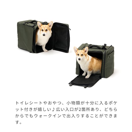 LIFELIKE（ライフライク）2WAYボックスキャリー
