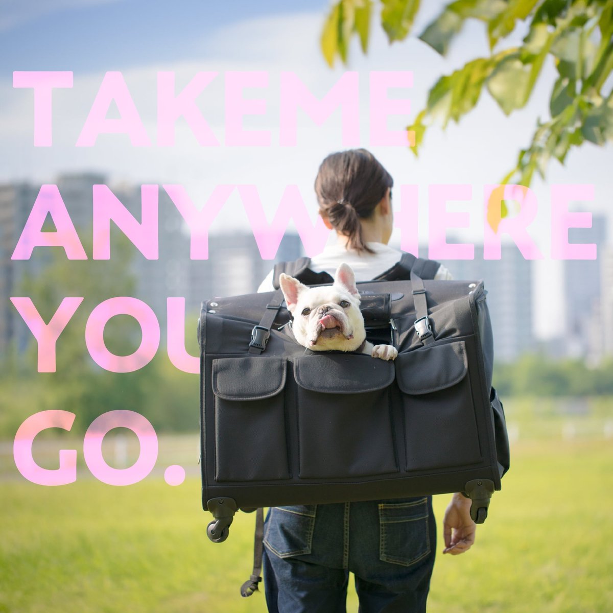 take me 犬甩 キャリー Lサイズ 両開き ストッパー有