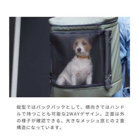 LIFELIKE（ライフライク）2WAYボックスキャリー