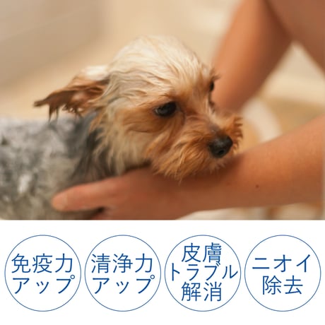 【ペット用入浴剤】２０錠入り／【送料安】追跡可能ポスト便（クリックポスト）