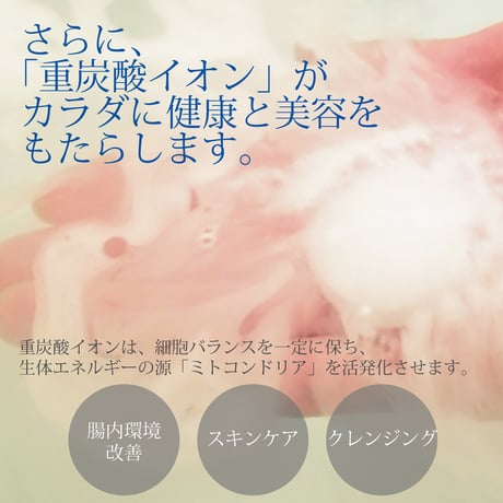 【ギフト】炭酸泉タブレット１０錠セット（クリアケース入り）／【宅配便】配送