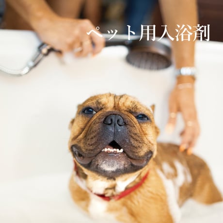 【ペット用入浴剤】２０錠入り／【送料安】追跡可能ポスト便（クリックポスト）