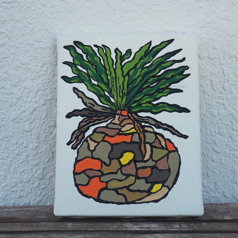 ブーファン ハエマンソイデス アクリル絵 原画 0号（180×140mm