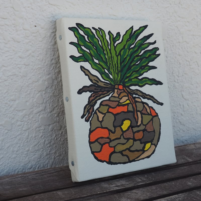 ブーファン ハエマンソイデス アクリル絵 原画 0号（180×140mm