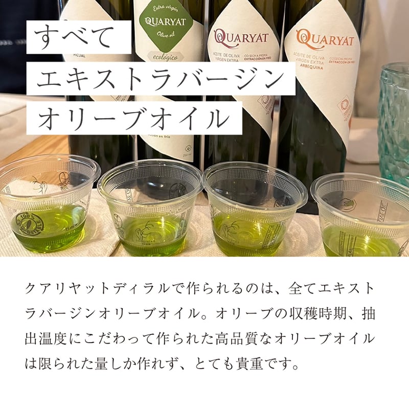 【Lemon&Olive Happiness】レモンの木 オリーブ シーグラス Lemon&Olive Happiness】レモンの木 オリーブ シーグラス