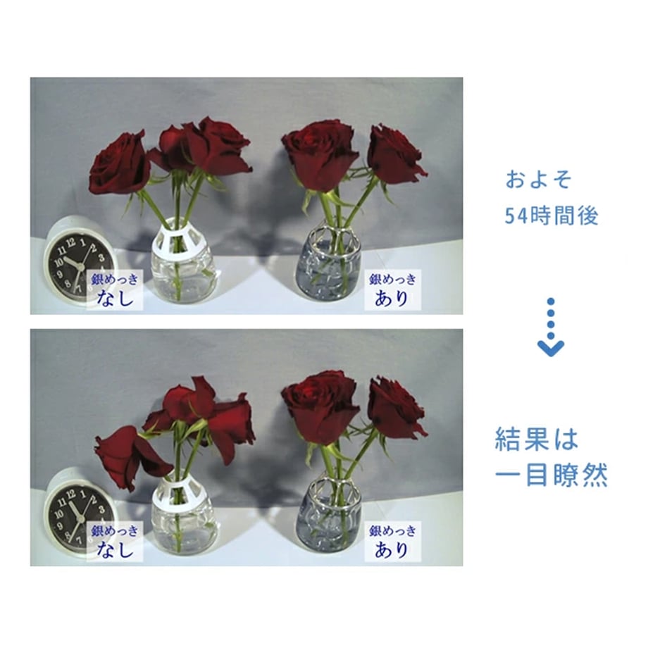 679701e275fe890866b61cd7