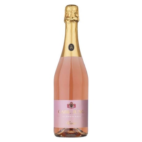 カールユング🍾遠隔