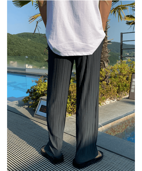 リラックスフィットプリーツパンツ / 2color