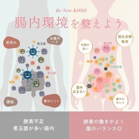 BeNew KOSO（ビニュー 酵素）