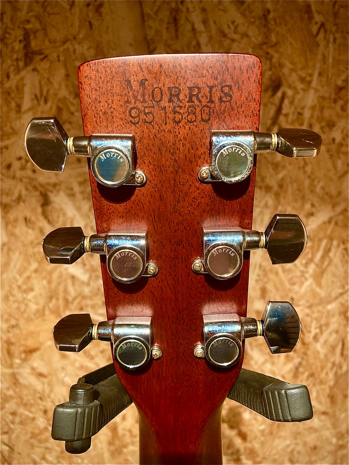 Morris W-40 | Guitarshop SOUNDNINE