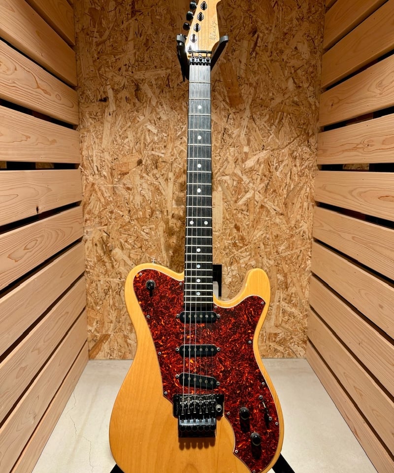 ESP TL type カスタムオーダー【尾張一宮店】 | Guitarshop