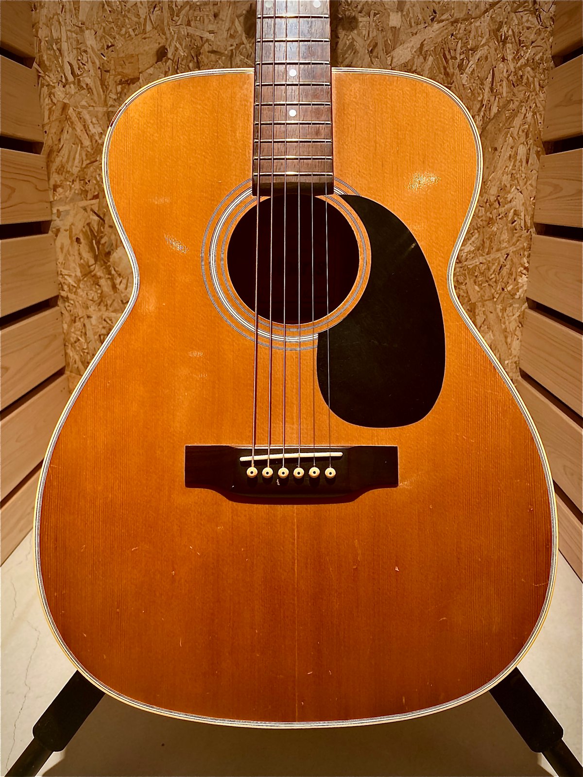 MORRIS F-021 RBS (レッドブラウンサンバースト