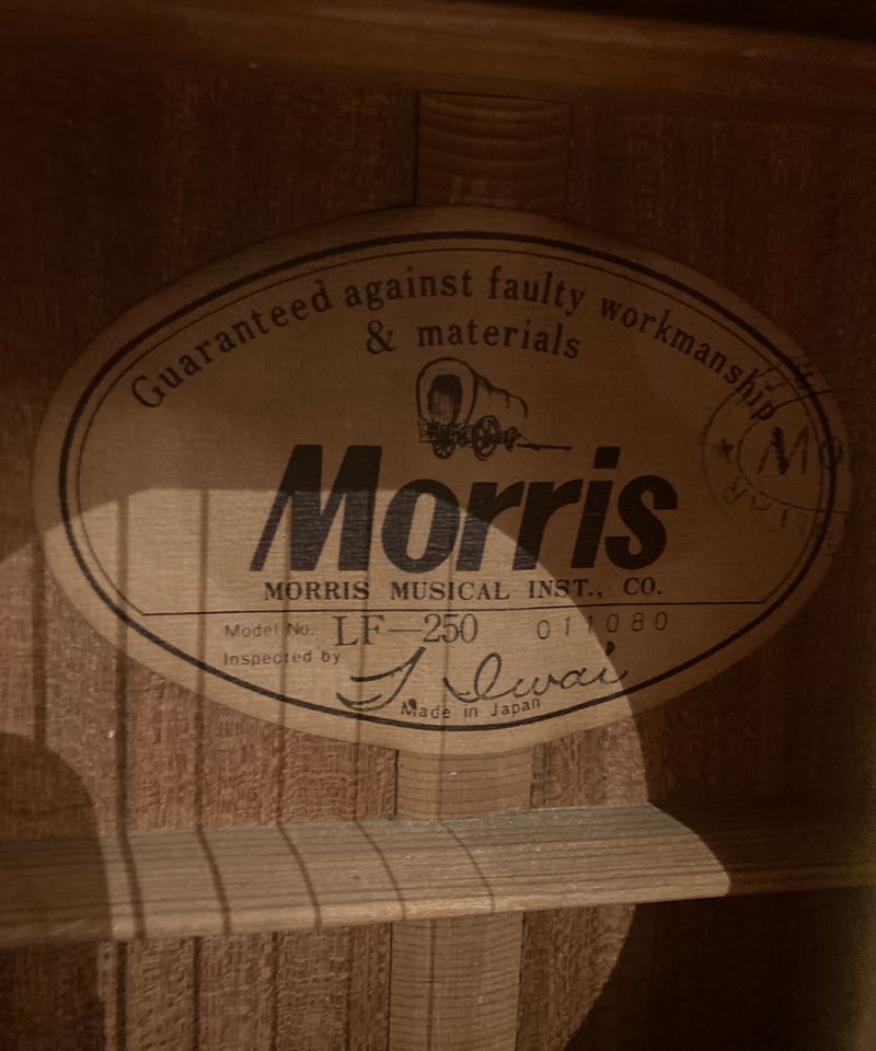 Morris LF-250 | Guitarshop SOUNDNINE Morris LF-250 | Guitarshop SOUNDNINE
