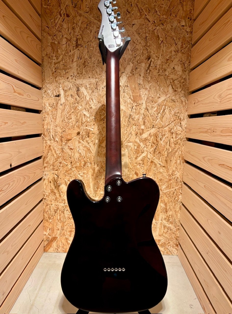 Aria Pro Ⅱ 615-GH | Guitarshop SOUNDNINE