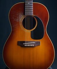 ThreeS W-200 | Guitarshop SOUNDNINE