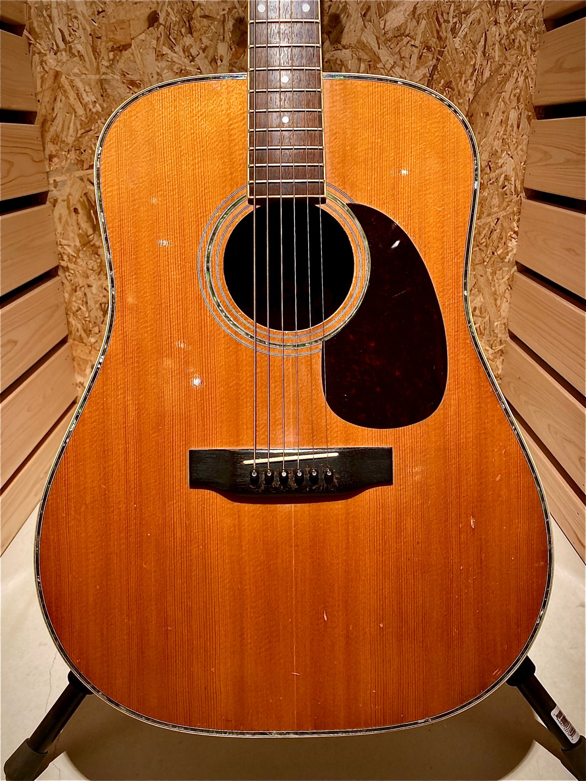 Morris W-35 | Guitarshop SOUNDNINE