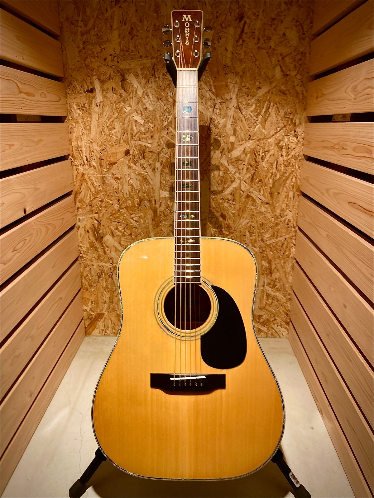 Morris W-40 | Guitarshop SOUNDNINE