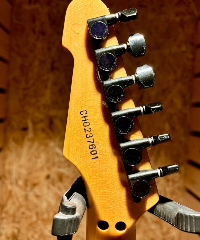 ESP TL type カスタムオーダー【尾張一宮店】 | Guitarshop SOUNDNINE