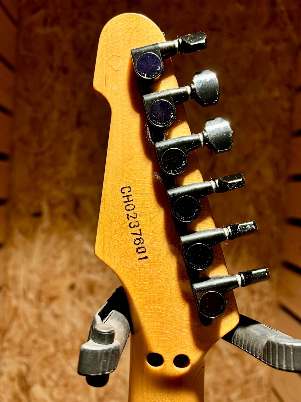 ESP TL type カスタムオーダー【尾張一宮店】 | Guitarshop
