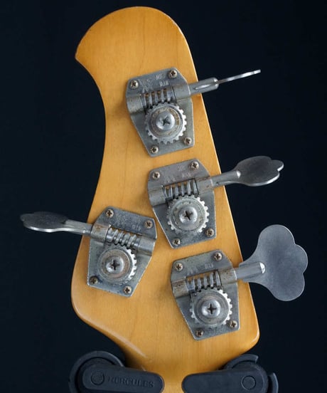 MUSIC MAN StingRay 1981-84