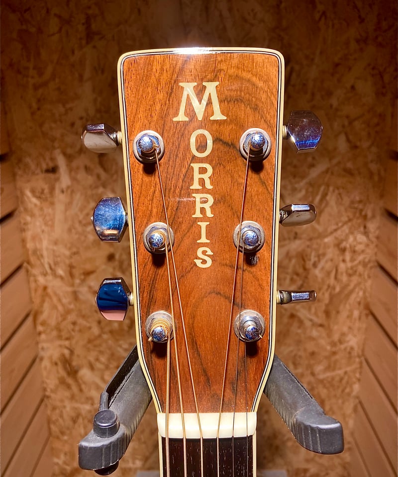 Morris W-40 | Guitarshop SOUNDNINE
