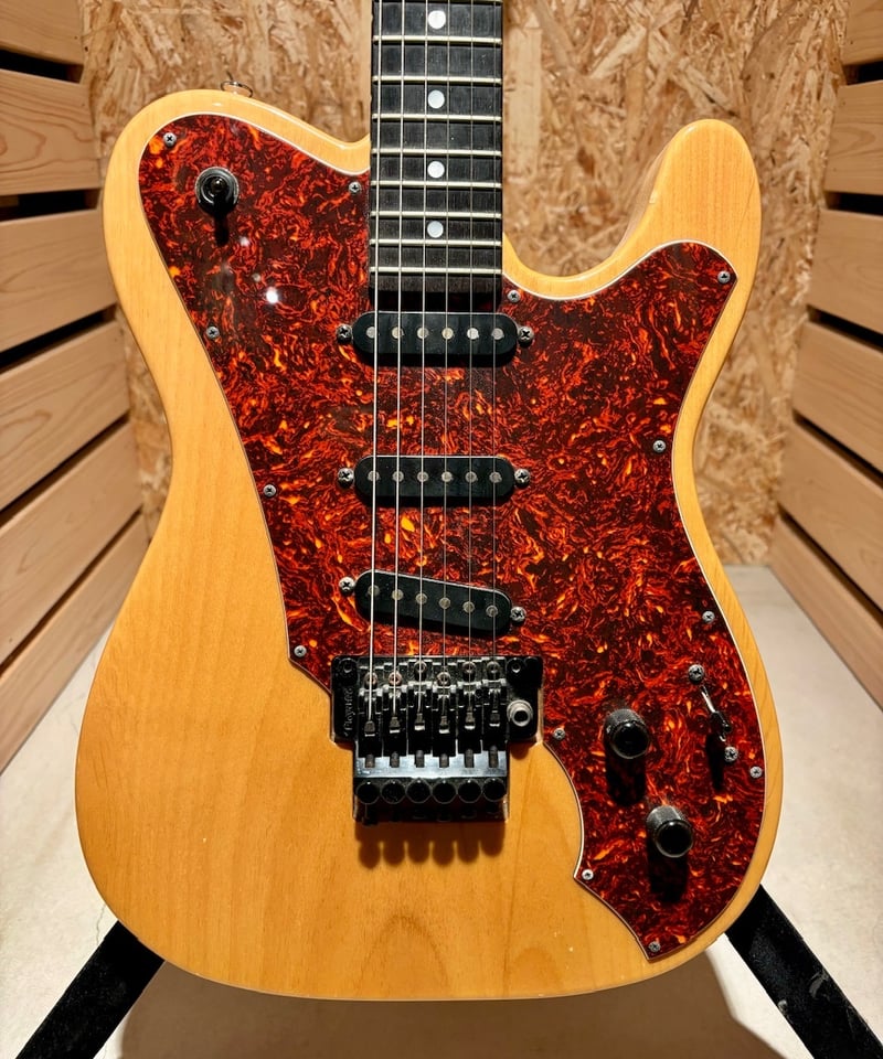 ESP TL type カスタムオーダー【尾張一宮店】 | Guitarshop
