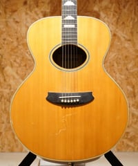 Epiphone NOVA-390【尾張一宮店】
