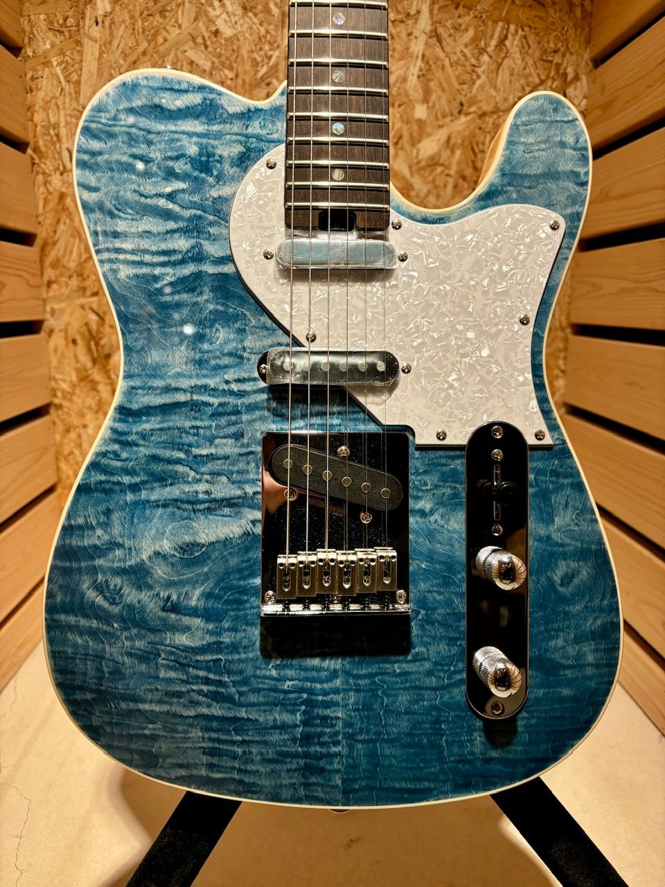 Aria Pro Ⅱ 615-AE200 | Guitarshop SOUNDNINE