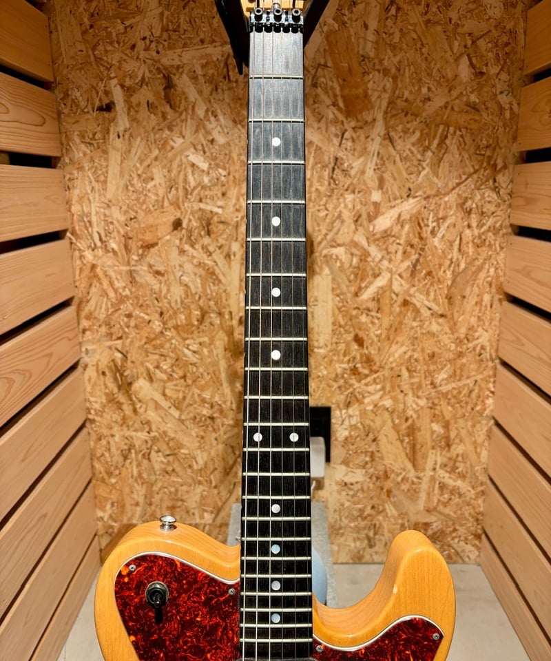 ESP TL type カスタムオーダー【尾張一宮店】 | Guitarshop SOUNDNINE