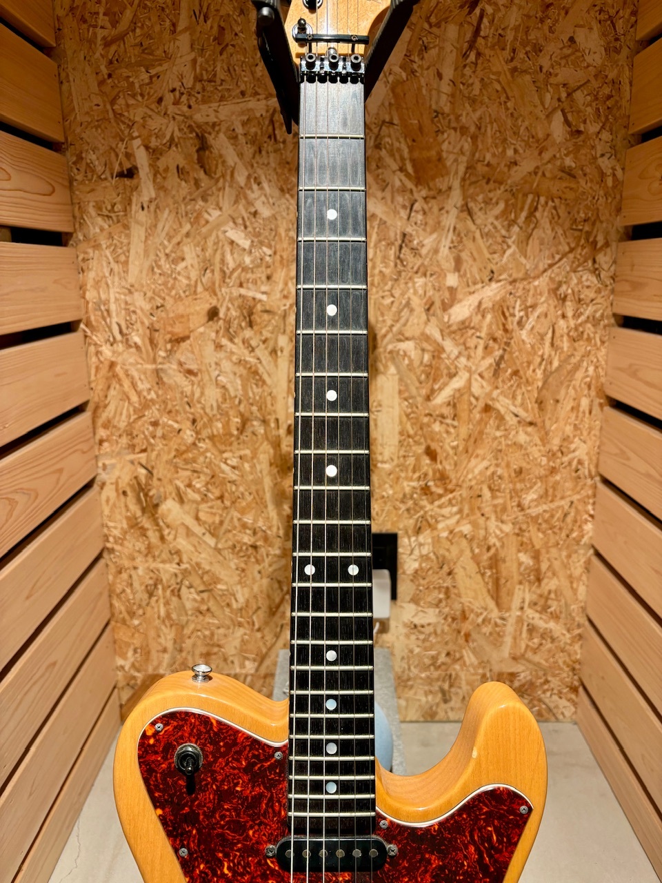 ESP TL type カスタムオーダー【尾張一宮店】 | Guitarshop SOUNDNINE