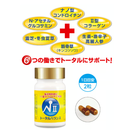 NⅡトータルバランス ▼お得なセット販売もあります