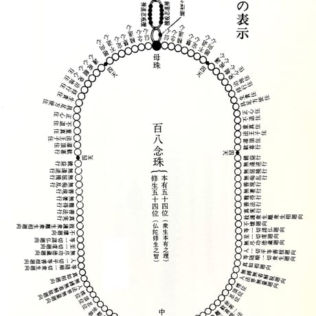 珊瑚数珠 本連