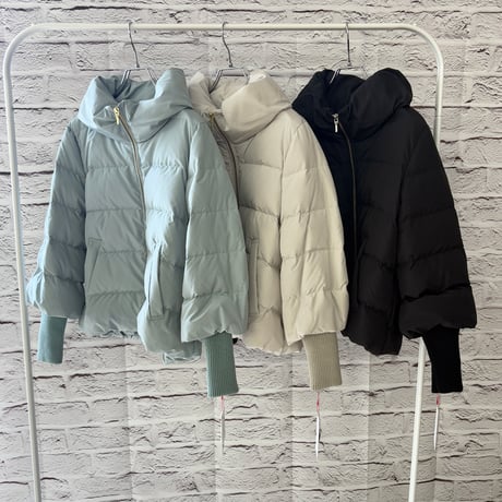 PASSIONE パシオーネ ダウン ダウンジャケット パシオーネ | STORES