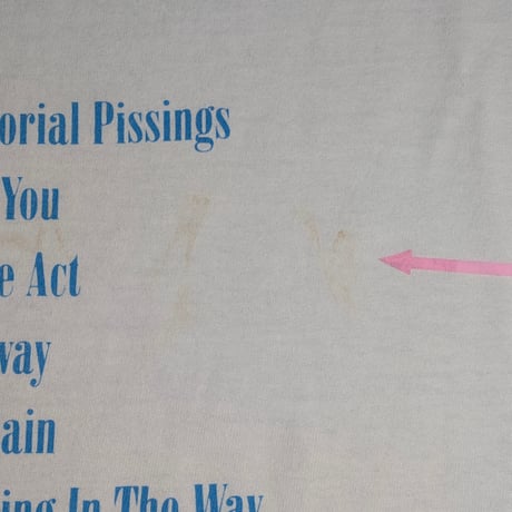 NIRVANA "NEVERMIND " Y2K  ANVIL LARGE 726