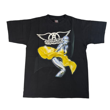 1993年コピーライトエアロスミス AEROFORCEONETシャツ ♾️90's AEROSMITH♾️ ©️1993 