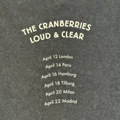 CRANBERRIES "BURY THE HATCHET" SCREENSTARS X-LARGE 2627