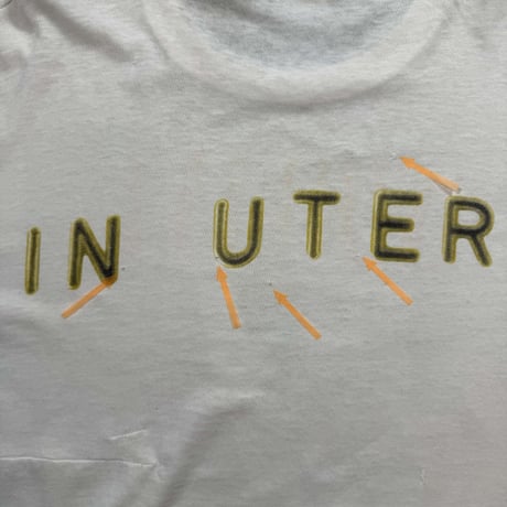 NIRVANA "IN UTERO" GIANT BY ANVIL X-LARGE 339