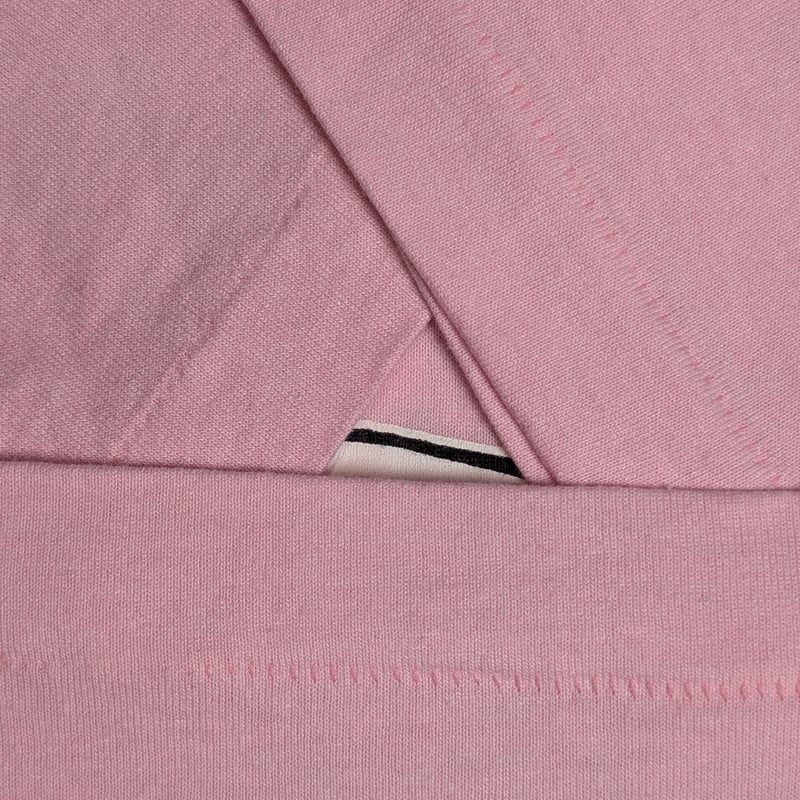 しばライオンページ しばライオンページ The day my Shiba Inu turned into a lion