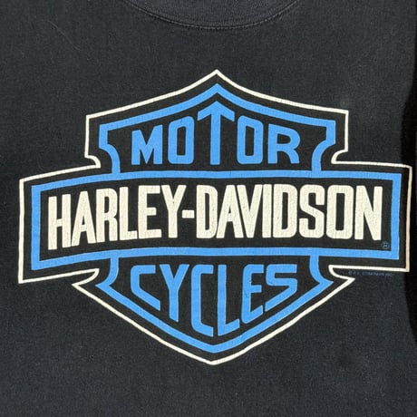 HARLEY DAVIDSON "BLUE FLAME" HARLEY TAG XX-LARGE 1895