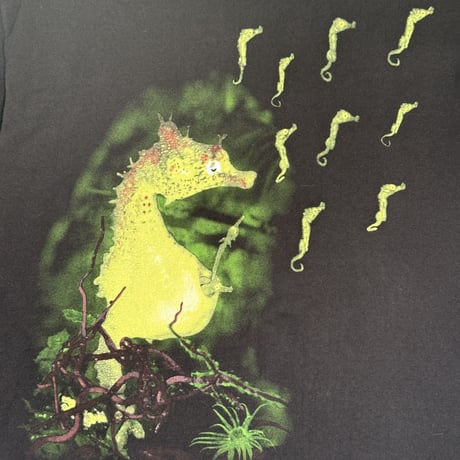 NIRVANA "SEAHORSE" HANES X-LARGE 909
