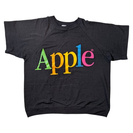 APPLE "RAINBOW LOGO SWEAT" HANES X-LARGE 1819