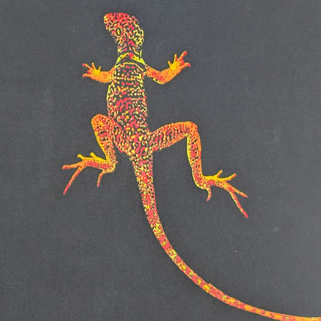 MARLBORO "LIZARD" MARLBORO TAG X-LARGE 778