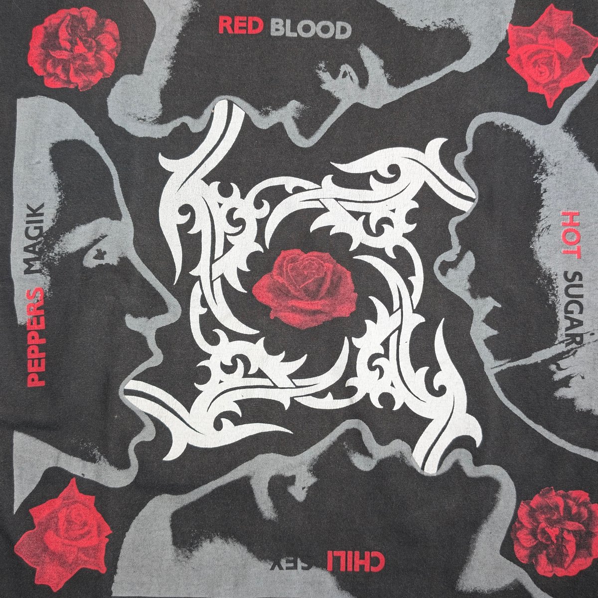 kazu レッチリblood白XL レッチリメキシコL kazu レッチリblood白XL レッチリメキシコL Amazon.co.jp: Live